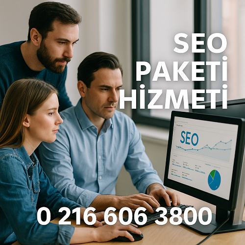 Profesyonel Seo Paketi